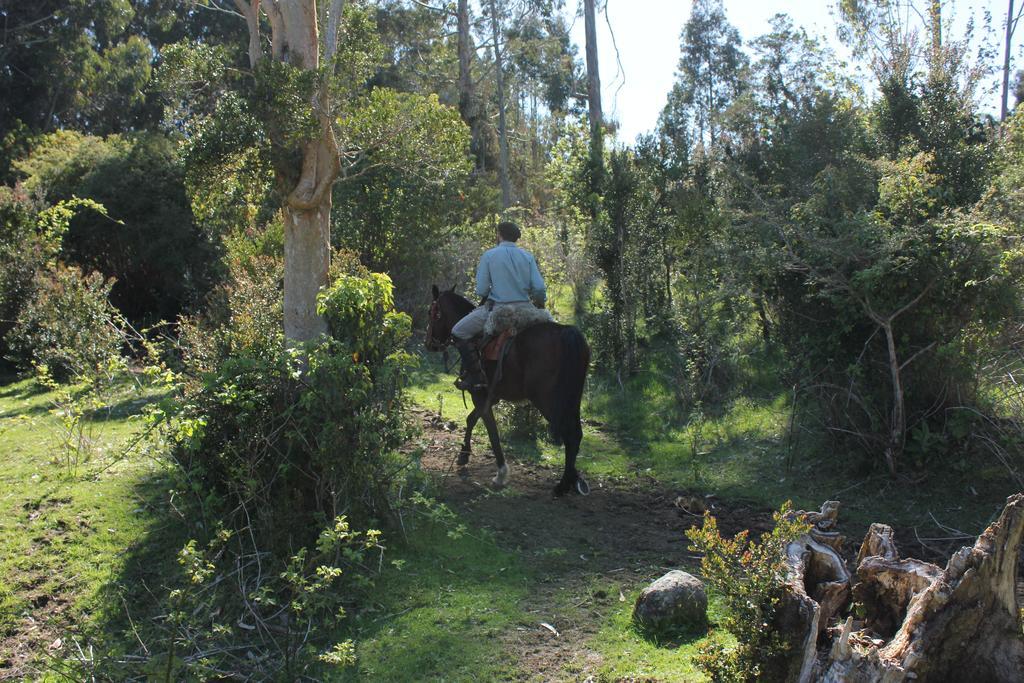 Refugio Pullao Hotel Quilquico Buitenkant foto
